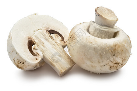 香农蘑菇团体食物茶点蔬菜美食宏观营养图片