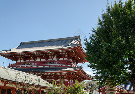 浅草寺庙旅行红色文化地标神道宗教首都入口神社建筑图片