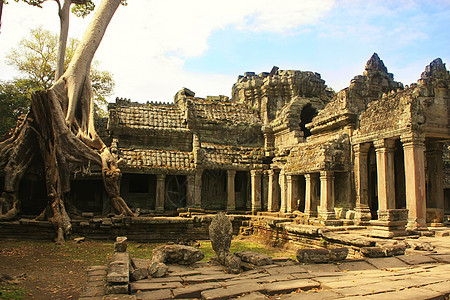 Preah Khan寺庙 柬埔寨暹粒吴哥地区历史性废墟植物木头圣训梧桐树地标文明世界建筑图片