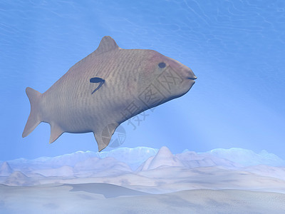 水下碳化鱼类 - 三维转化图片
