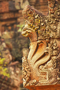 柬埔寨暹粒 吴哥地区寺庙收获热带纪念碑建筑历史性荒野石头地标古董高棉语图片