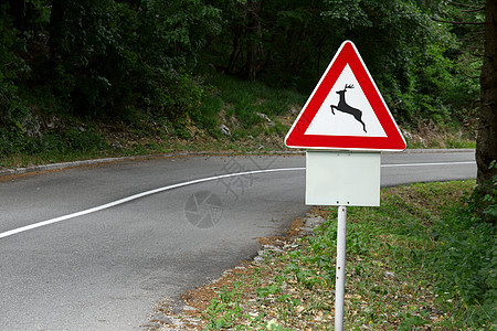 路标路牌环境驯鹿标志荒野动物危险交通曲线驾驶三角形图片