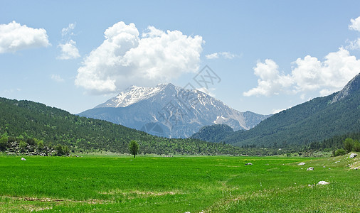 山脉爬坡高地阳光山腰森林全景晴天生态顶峰蓝色图片