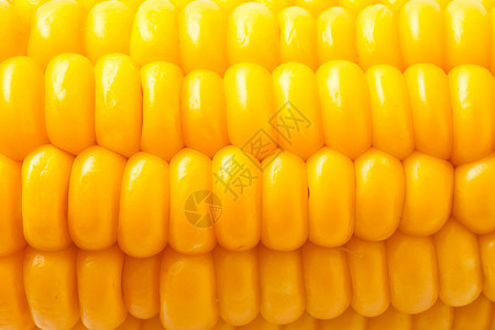 玉米角农业蔬菜绿色食物爆米花营养棒子黄色生产内核图片