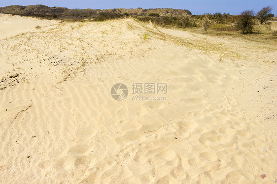 内黑兰国家公园沙地背景植物蓝色沙丘天空木头支撑植物群天气风景公园图片