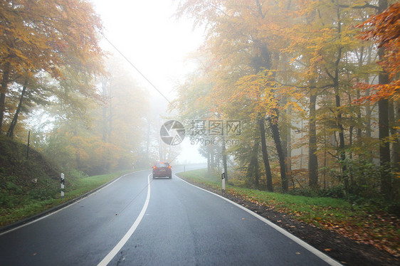 森林和道路中的雾秋雾能见度树木车辆图片
