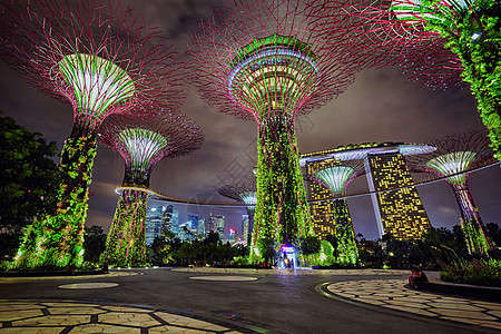 厦门海湾公园新加坡湾边的花园之夜景背景
