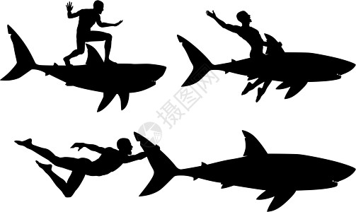 鲨鱼捕鲨者图片