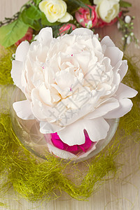 花瓶中的小桃花玫瑰香气香水牡丹艺术生日香味花束植物绘画图片