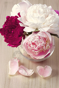 花瓶中的小桃花玫瑰牡丹花束绘画香气艺术生日介子花瓣生长图片