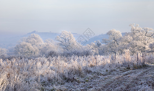 英格兰冰冻豪华英语乡村树篱冻结季节丘陵薄雾农田场地橡木图片
