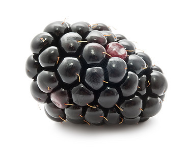 黑莓白色黑色饮食营养食物甜点浆果水果工作室宏观图片