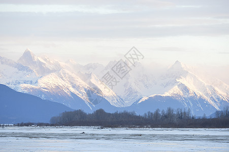 阿拉斯加的雪覆盖山树木峡湾岩石天线风景旅行全景天空国家荒野图片