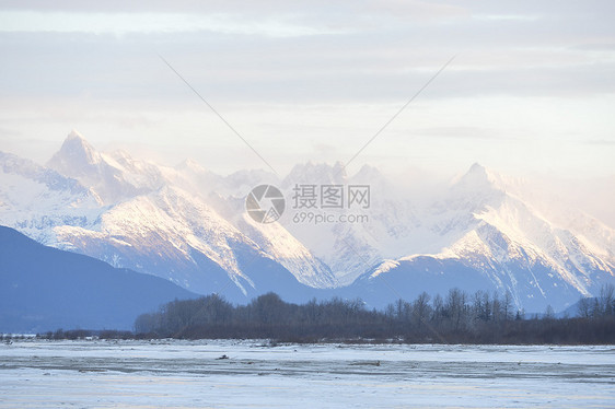 阿拉斯加的雪覆盖山树木峡湾岩石天线风景旅行全景天空国家荒野图片