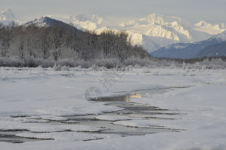 阿拉斯加的雪覆盖山地球生态全景风景日落冻结海岸线旅行天空峡湾图片