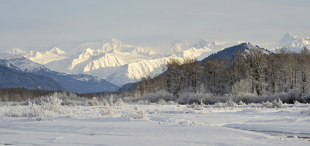 阿拉斯加的雪覆盖山日落国家海岸线荒野仙境岩石天空地球生态旅行图片