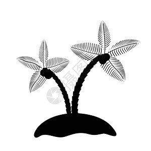 两海枣海滩热带插图环境可可叶子树干植物学木头情调图片