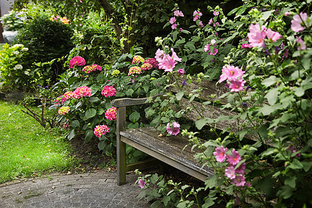 带长椅和花板的乡村式花园乐趣后院植物院子生长石头粉色种植绿色花朵图片