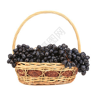 黑熟的葡萄在篮子里藤蔓水果美食健康柳条栽培食物葡萄园紫色植物图片
