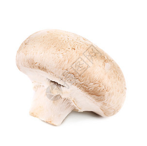 白蘑菇关门了白色蘑菇蔬菜图片
