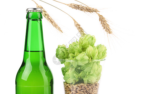 跳和大麦的构成瓶子派对文化酒精玻璃液体啤酒耳朵金子酒吧图片