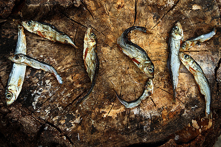 小干鱼形成鱼的字词食物图片