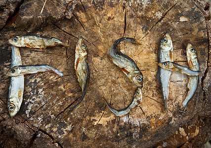 小干鱼形成鱼的字词食物图片