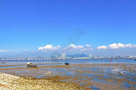 香港海岸和桥 白天图片