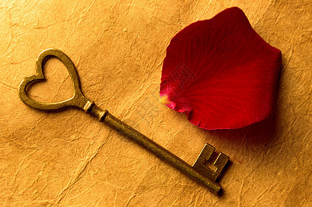 心脏关键键古董红色花瓣玫瑰图片