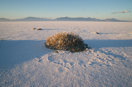 犹他普列斯泰内日落湖沙漠盆地脆皮景观地平线天空视野远距离自然盐滩图片