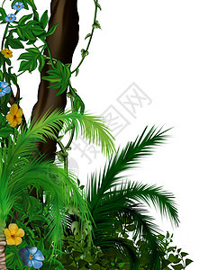 丛林植被花朵灌木植物棕榈叶子藤本植物插图图片