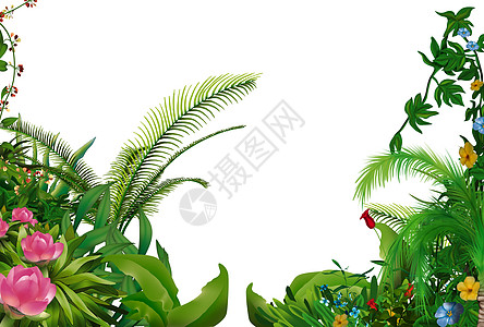 热带热带植物丛林棕榈原始森林灌木位图花朵绿色叶子插图生长图片