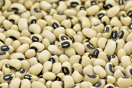 哈利果豆子白色宏观花斑粮食种子扁豆饮食眼睛食物褐色图片