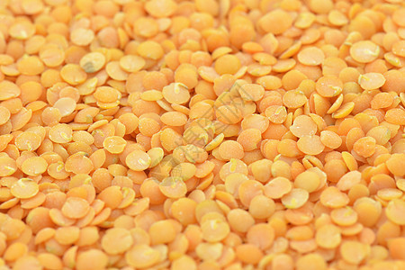 黄扁豆宏观农业粮食豆类橙子蔬菜豆子种子扁豆营养图片