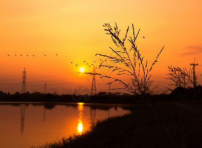 江面日落蓝色阳光黄色反射树木场地海洋天空钓鱼鸟类背景图片