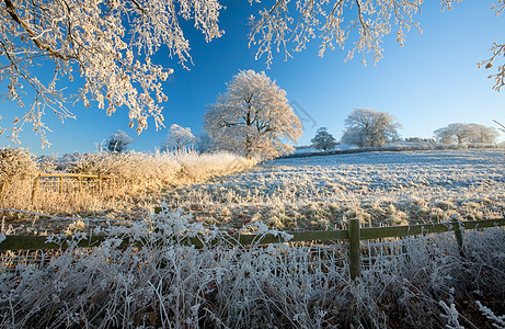 冬季的英语农田旅行树篱日出季节农村乡村天气风景季节性图片