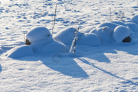 雪地草原上的石头天气木头地平线岩石城市森林日落场地寒意冻结图片