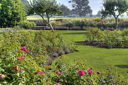 沃维克郡玫瑰花园图片