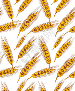 小麦无缝背景花圈桂冠创造力季节耳朵农业绘画丝带食物风格图片