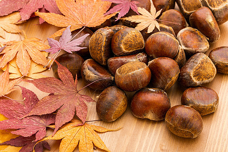 栗子和石膏休假红色收成桌子板栗木头美食坚果团体食物棕色图片