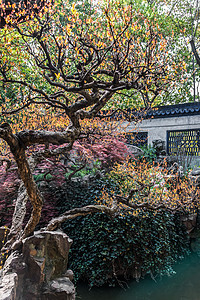 上海中国诸川花园地标花园外观地方文化旅行建筑学目的地树木图片
