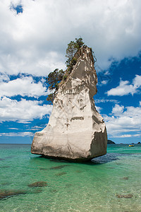 科罗曼德尔吸引力海洋石头海滩编队风景侵蚀岩石悬崖海岸图片