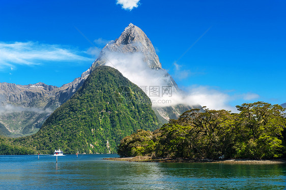 米尔福德音响地标巡航峡湾树木山脉丘陵海岸森林悬崖荒野图片