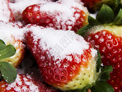 紧贴在新鲜的红草莓上早餐盘子工作室宏观营养甜点水果蔬菜小吃浆果图片