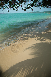 带白色沙沙的长边热带海滩图片