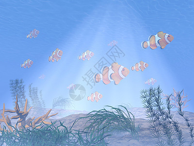 水下小丑鱼或阿内酮鱼 - 3D图片