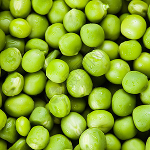绿豆水平营养绿色饮食蔬菜豆类种子食物美食植物图片