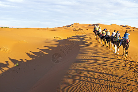 骆驼大篷车穿过撒哈拉沙漠的沙丘单峰游客动物沙漠孤独男人晴天驼峰寂寞旅游图片