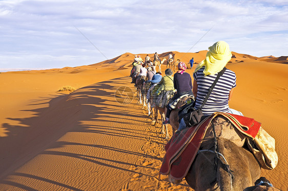 骆驼大篷车穿过撒哈拉沙漠的沙丘太阳动物寂寞驼峰旅行晴天孤独游客单峰哺乳动物图片