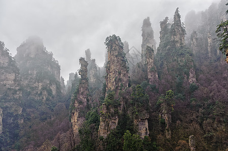 张家姬旅行多云国家柱子石头风景旅游公园绿色遗产图片